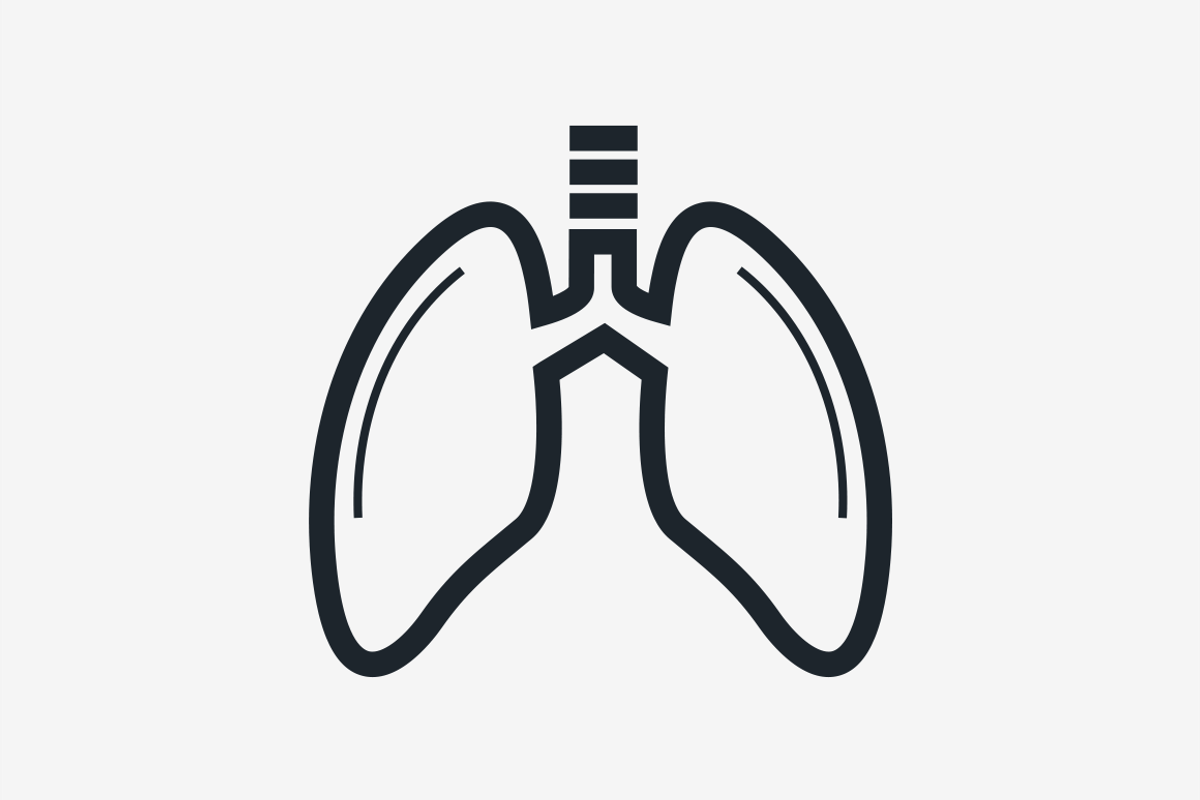 15 Human Organs preview 2