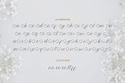 Yolitica |modern handwritten, a Script Font by ToniStudio (Thumbnail 10 of 11)