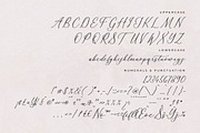 Whitley Pattrycia Luxury Calligraphy, a Script Font by Storytype Studio (Thumbnail 11 of 12)