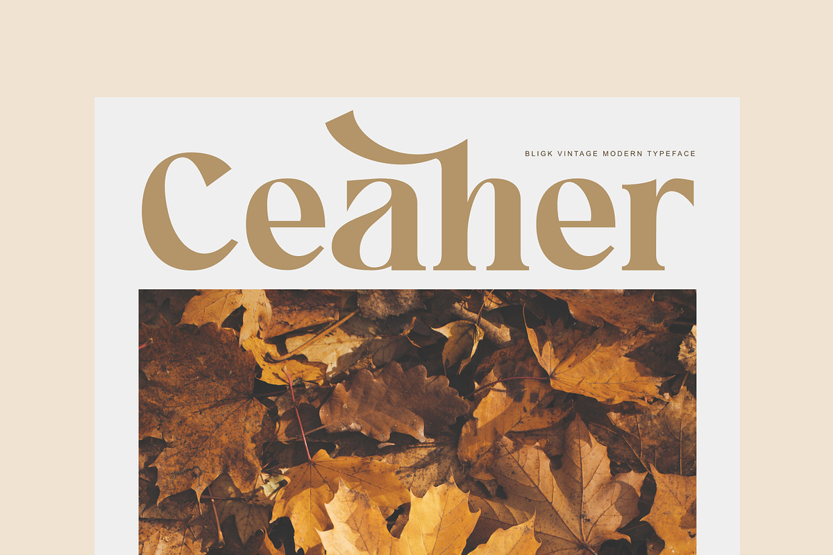 Bligk - Vintage Modern, a Serif Font by Khoir (Photo 14 of 15)