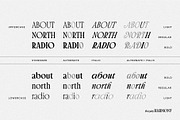 Brighty Harmony | Serif font family, a Font by Digitype Studio (Thumbnail 5 of 15)