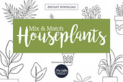 Hand Drawn House Plant Illustrations, an Illustration by Hannah Eliza Studio (Thumbnail 1 of 5)