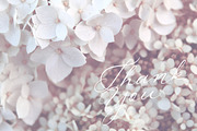 Allure & Grace. Calligraphy, a Script Font by AnMark (Thumbnail 15 of 15)