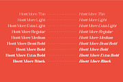 Horst More Retro Soft Serif, a Serif Font by AuthenType (Thumbnail 6 of 10)