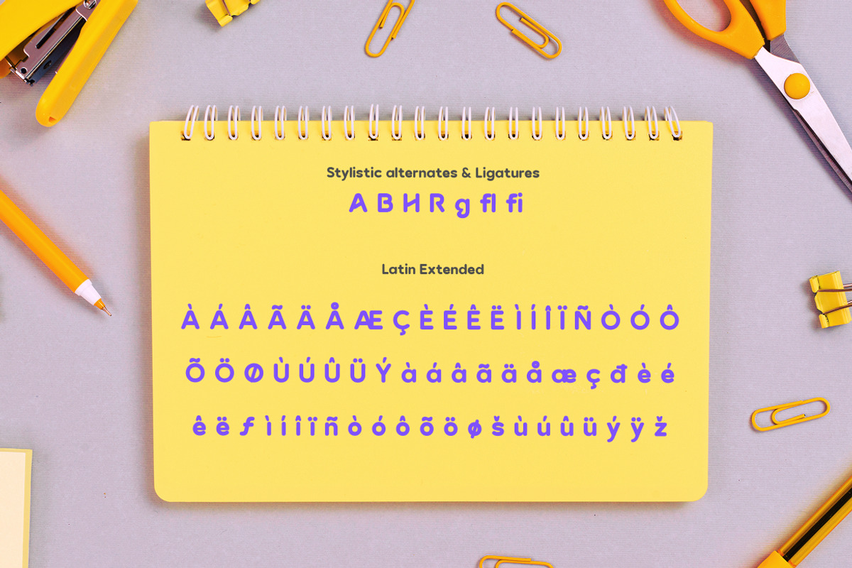 Baugy Fun Display Logo Font, a Sans Serif Font by Rasio Studio (Photo 7 of 9)