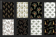 Forest creator, an Animal Illustration by Mii Lab (Thumbnail 6 of 15)