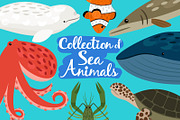 Sea animals set, an Object Graphic by ianakauri (Thumbnail 1 of 4)