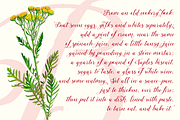 Tansy, a Script Font by Eurotypo (Thumbnail 2 of 5)