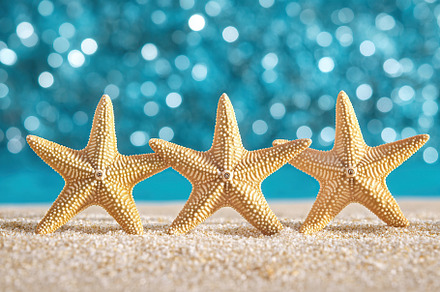 Bright starfish standing on sandy beach near turquoise water on a sunny day, an Animal Photo by AlyaAnd