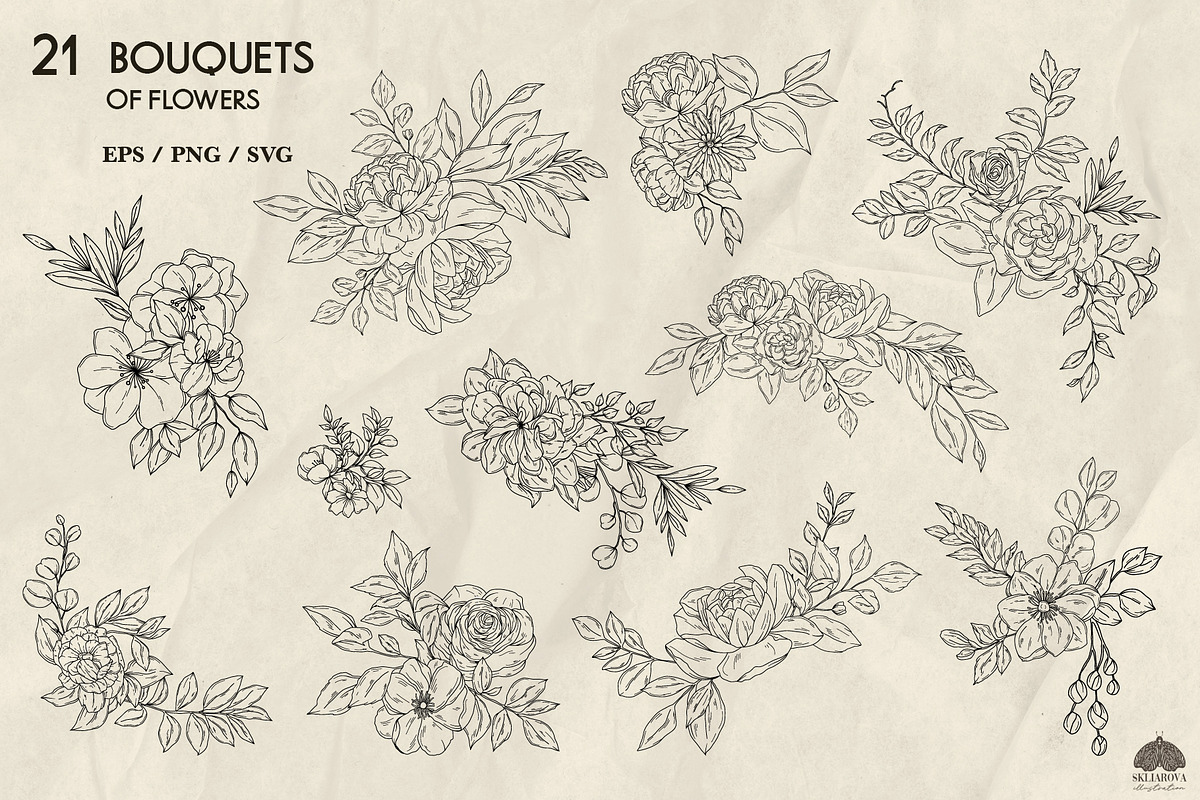 Botany Line Art Collection, a Decorative Illustration by Skliarova (Photo 4 of 10)