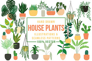 House Plants Illustrations & Pattern