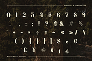 Lasthen - Serif Font, a Serif Font by Randi Irvan | Rvandtype (Thumbnail 9 of 12)