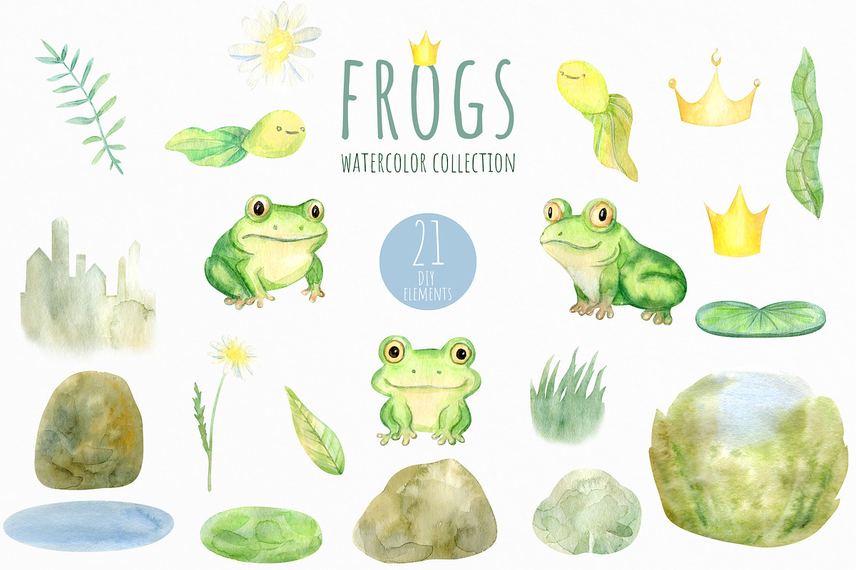 Watercolor Frogs Clipart PNG, an Animal Illustration by NataliArkushArt (Photo 3 of 13)
