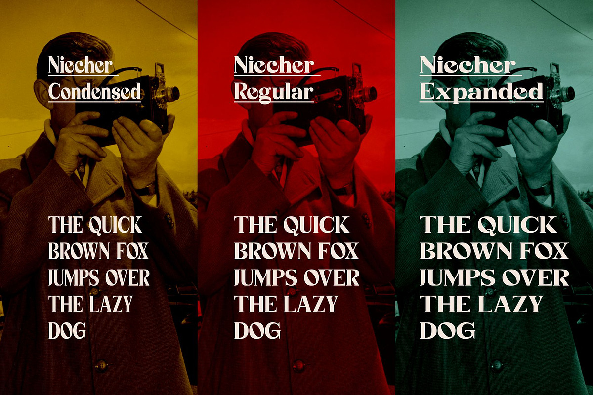 Niecher-Serif Display, a Serif Font by takoliko (Photo 8 of 13)