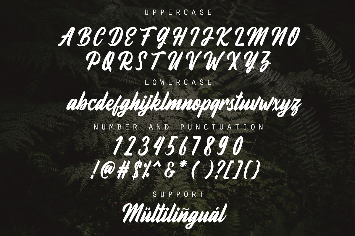 Fineberg | Script Font preview 2