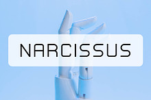 Narcissus - Minimalist Font