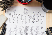 Floral Graphics Pack, an Illustration by emine (Thumbnail 3 of 7)