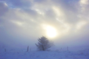 Winter landscape containing nature, picture, and image