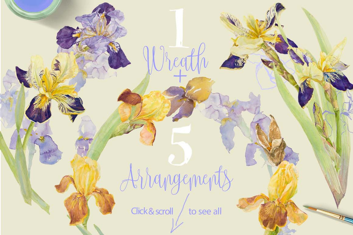 TheArtsyIrisCollection-Clipart, an Illustration by watercolorwild.graphics (Photo 10 of 13)