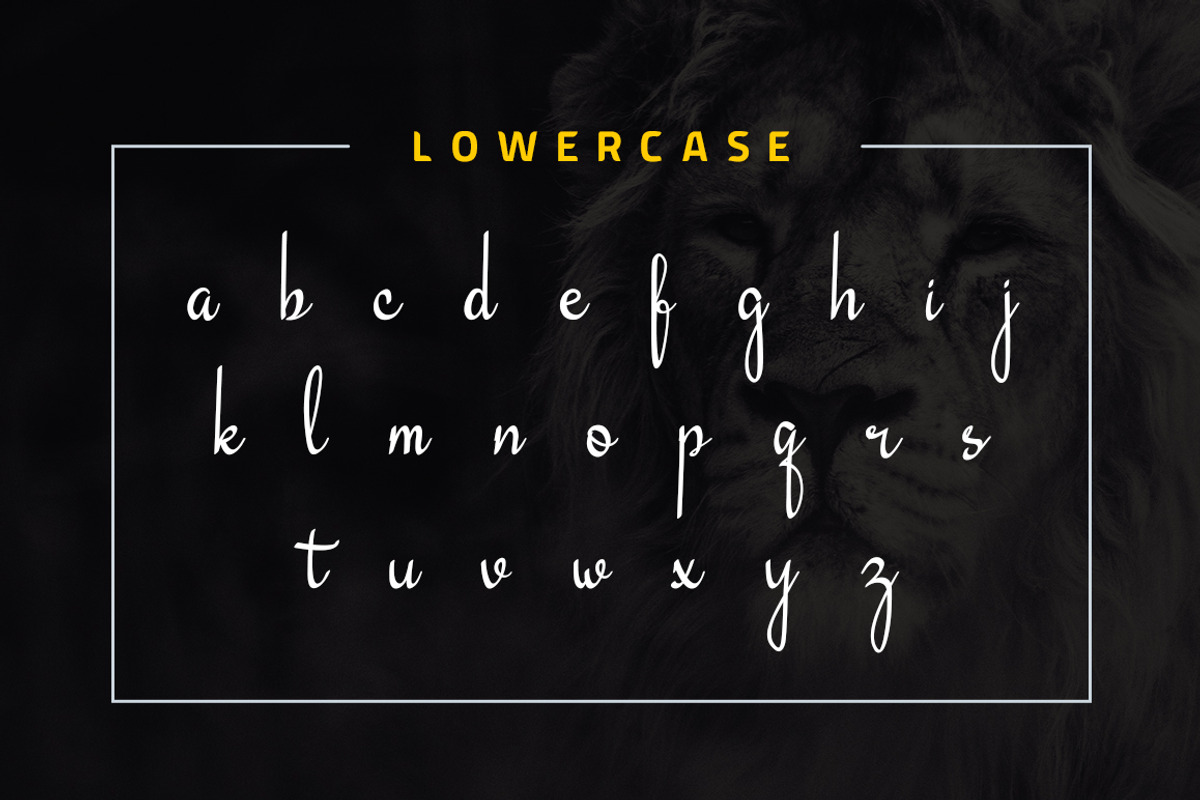 Daesy // Luxury Challigrapy Font preview 8