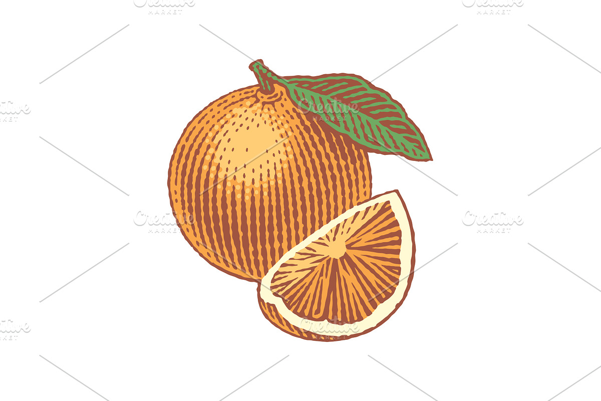 Strawberry and Orange, a Food Illustration by Irina Trusova (Photo 2 of 5)