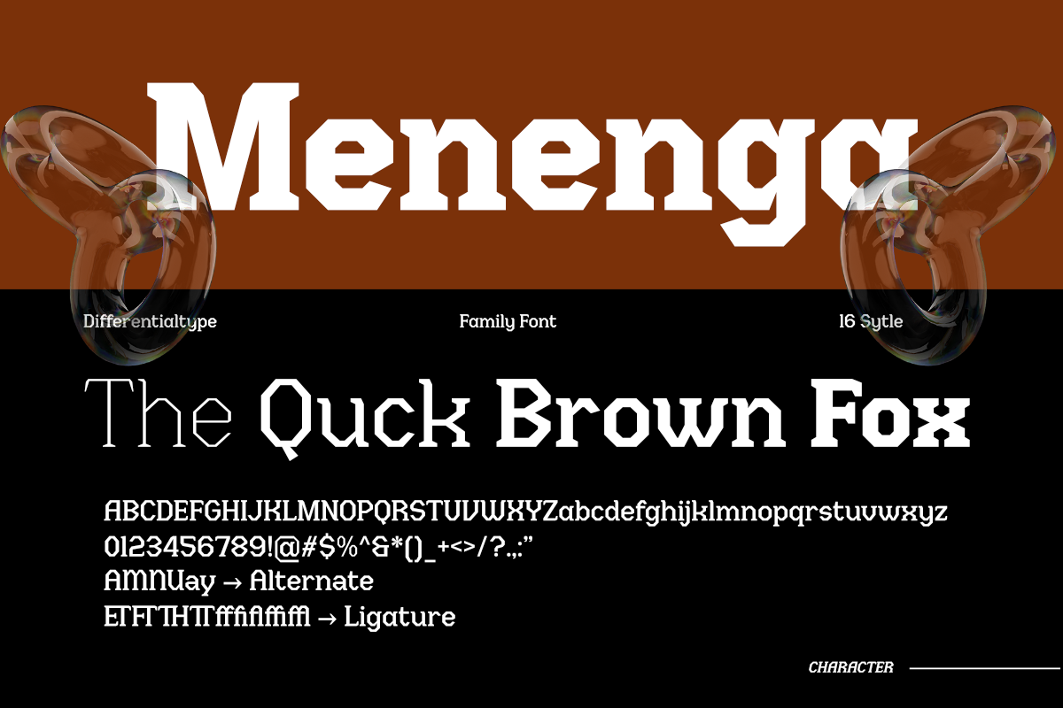 Menenga - Display Family, a Serif Font by Differentialtype (Photo 9 of 11)