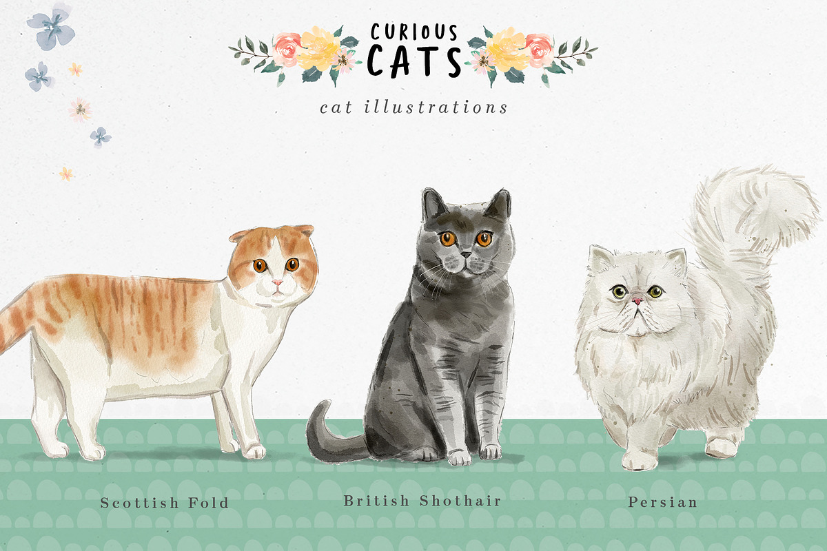 Curious Cats Feline Clipart, an Animal Illustration by Twigs and Twine (Photo 4 of 11)