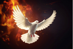 Flying white dove with fire marks on, an Animal Photo by Ylivdesign