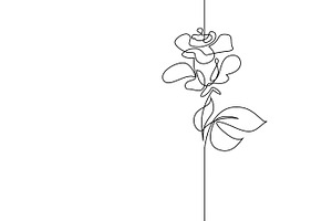 Continuous Line Drawing Flower Rose