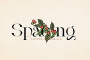 Vintage Agriqy - Modern Logo Serif, a Serif Font by Nirmana Visual (Thumbnail 6 of 6)