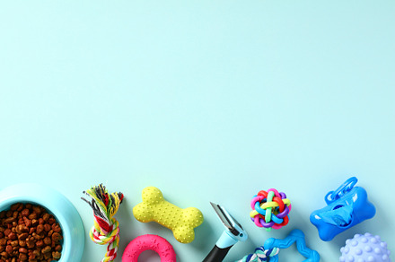 Frame of pet toys and supplies on pastel blue table. Flat lay, top view.