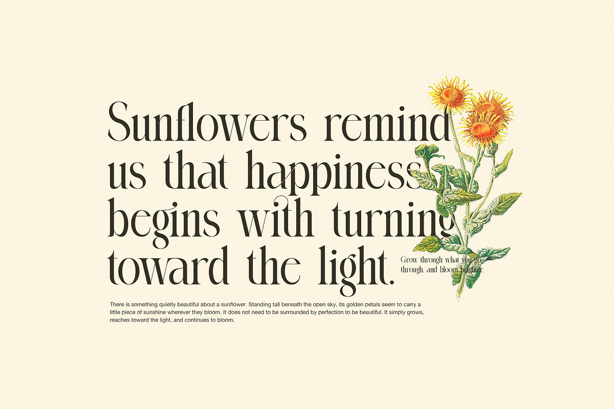 Memory Elegant Serif Font, a Serif Font by Graphicxell (Photo 5 of 8)