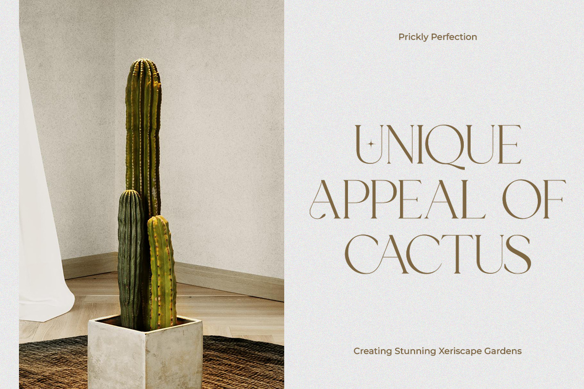 Ultra Monic | Serif Display, a Serif Font by Taboja Studio (Photo 2 of 10)