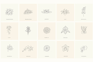 Botanical Hand Drawn Designs, Logos