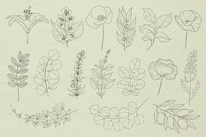 Botanical Procreate Stamps, Cliparts