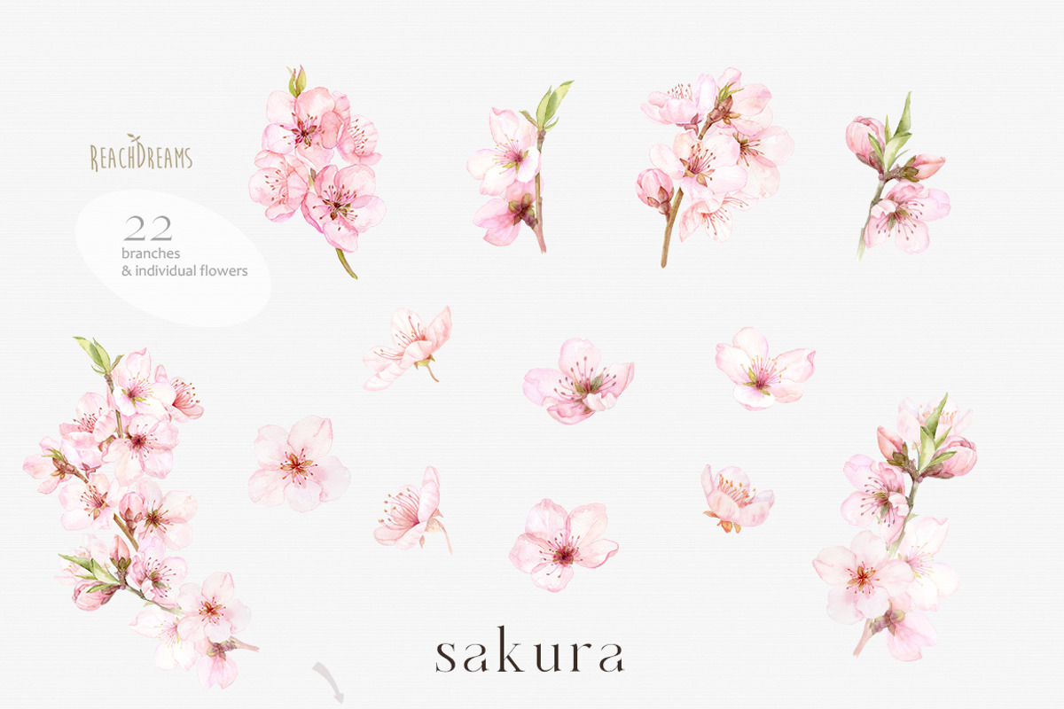 Blossoms Sakura Collection, a Decorative Illustration by ReachDreams (Photo 2 of 7)