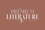 Brioche - (Light & Bold), a Serif Font by Sarid Ezra (Thumbnail 4 of 6)