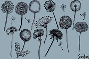 Dandelion handpainted clip art, an Illustration by SandraGraphicDesign (Thumbnail 2 of 4)
