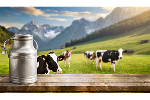 A serene rural landscape with cows, an Animal Photo by Igor Tichonow