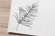 Palm leaf. Hand sketch and patterns, an Illustration by Canatic (Thumbnail 2 of 7)
