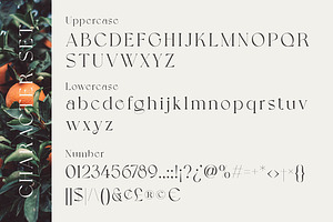 Grapevine - Modern Serif Font