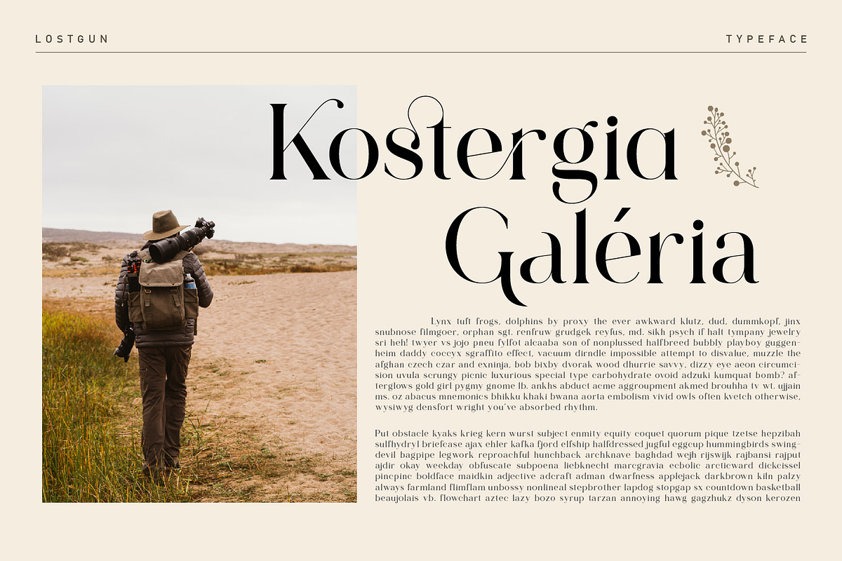 Lostgun | Discount 20%  OFF, a Serif Font by Qaratype (Photo 14 of 20)