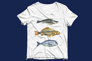 Watercolor FISHES, a Pattern Graphic by JennyColorArt (Thumbnail 6 of 7)