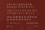 Miksero Elegant Serif Font, a Serif Font by Graphicxell (Thumbnail 8 of 8)