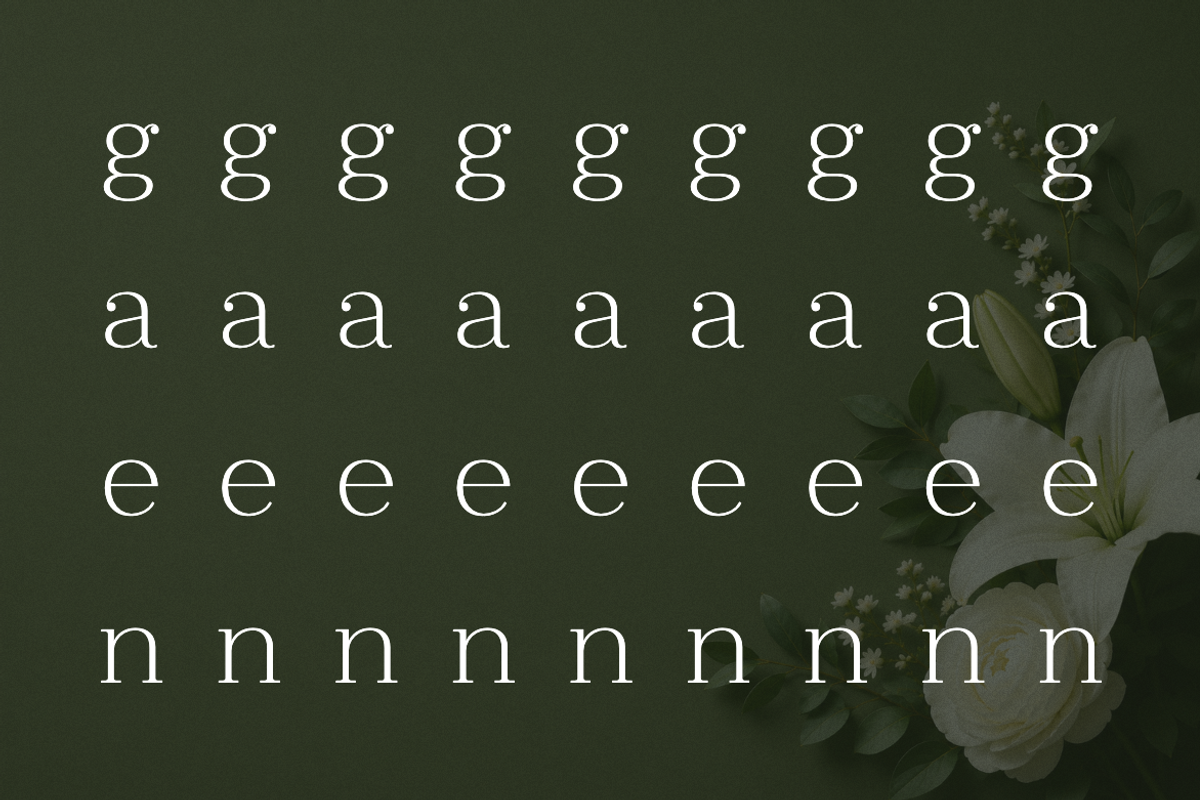 Clayton – Elegant Serif Typeface, a Serif Font by Webhance Studio (Photo 8 of 10)