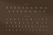Nadien Elegant Serif Font, a Serif Font by Graphicxell (Thumbnail 8 of 8)