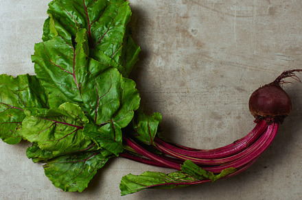 autumn flat lay with beetroot, an Abstract Photo by Alliance Images
