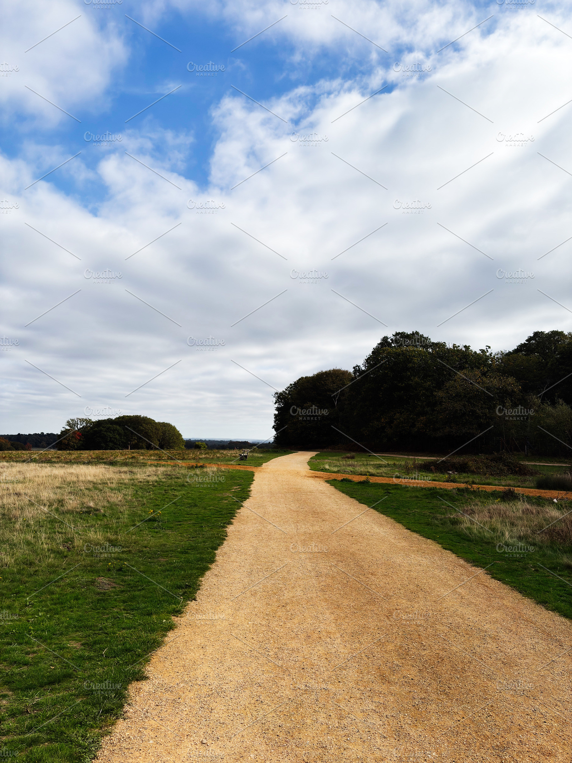 Gravel path through countryside toward trees under a bright blue sky in London, a Nature Photo by AS photostudio
