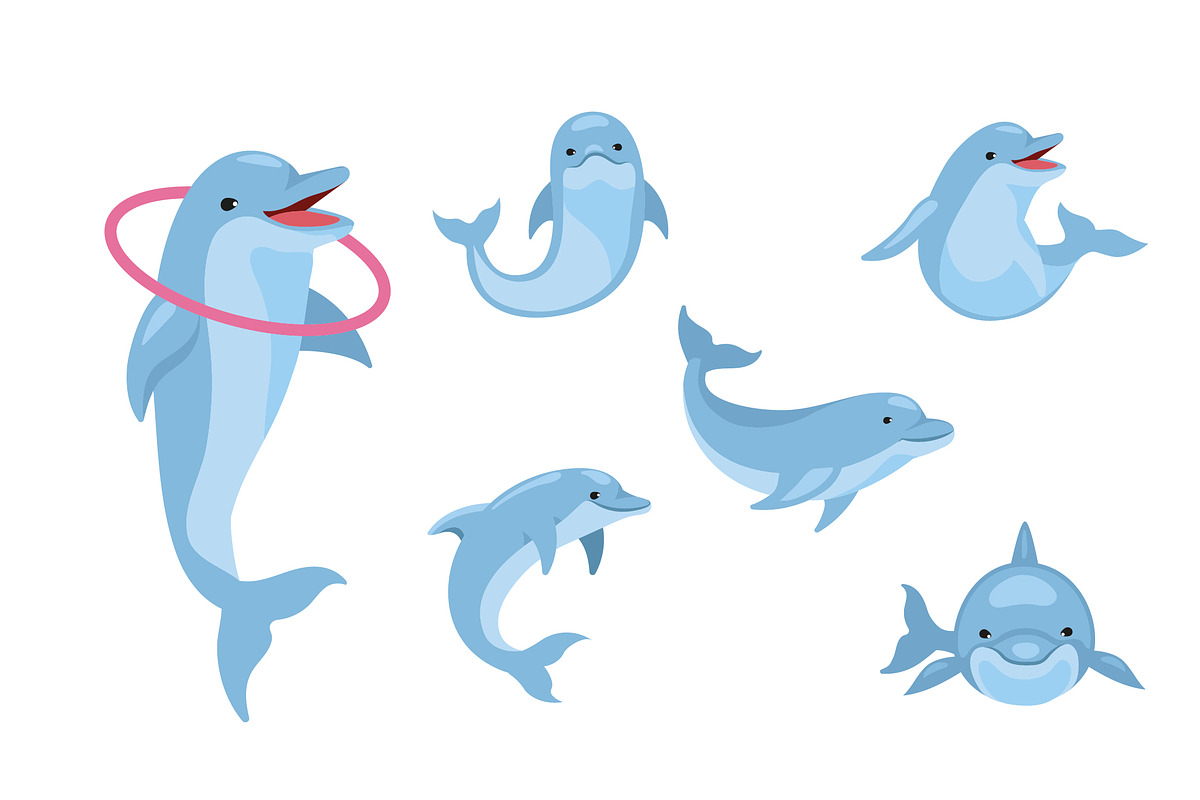 Cute Dolphin Illustration Set