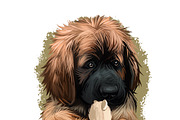 Puppies Dog Breeds Big Bundle 135Pcs, an Animal Illustration by Dneprstock (Thumbnail 39 of 68)